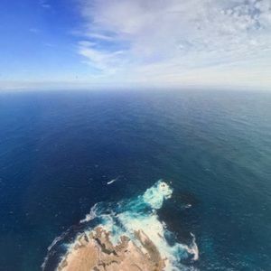 Meet your Posher, Isaiah